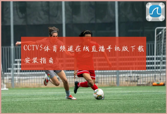 CCTV5体育频道在线直播手机版下载安装指南