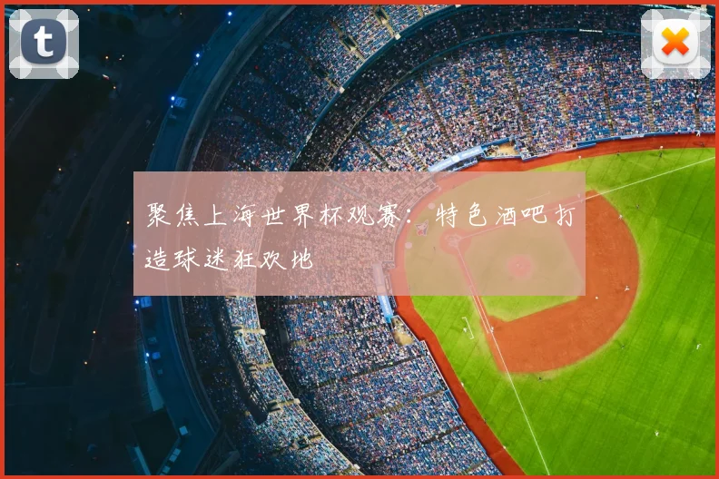 聚焦上海世界杯观赛:特色酒吧打造球迷狂欢地