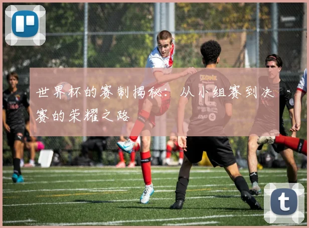 世界杯的赛制揭秘:从小组赛到决赛的荣耀之路