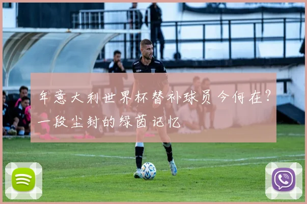 年意大利世界杯替补球员今何在？一段尘封的绿茵记忆
