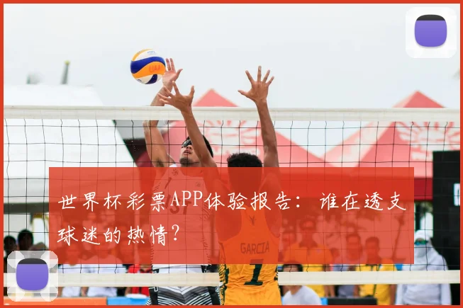 世界杯彩票APP体验报告:谁在透支球迷的热情?