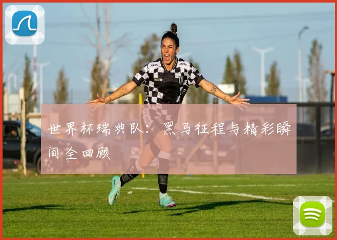 世界杯瑞典队:黑马征程与精彩瞬间全回顾