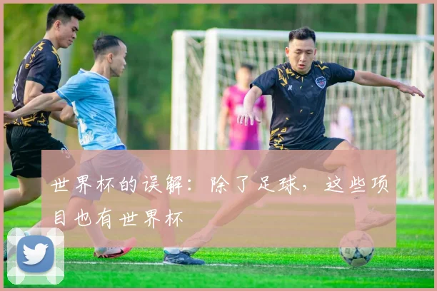 世界杯的误解:除了足球,这些项目也有世界杯