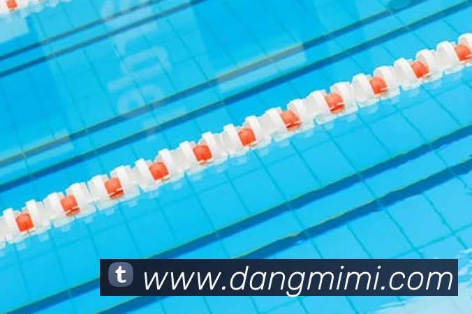 奇异果体育官网全站App